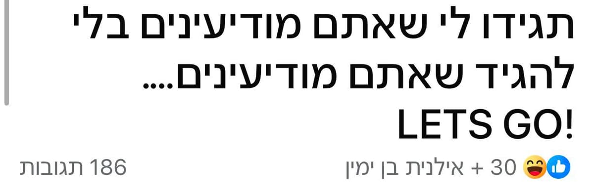 "תגידו לי שאתם מודיעינים בלי להגיד שאתם מודיעינים": הצצה משעשעת לחיי העיר
