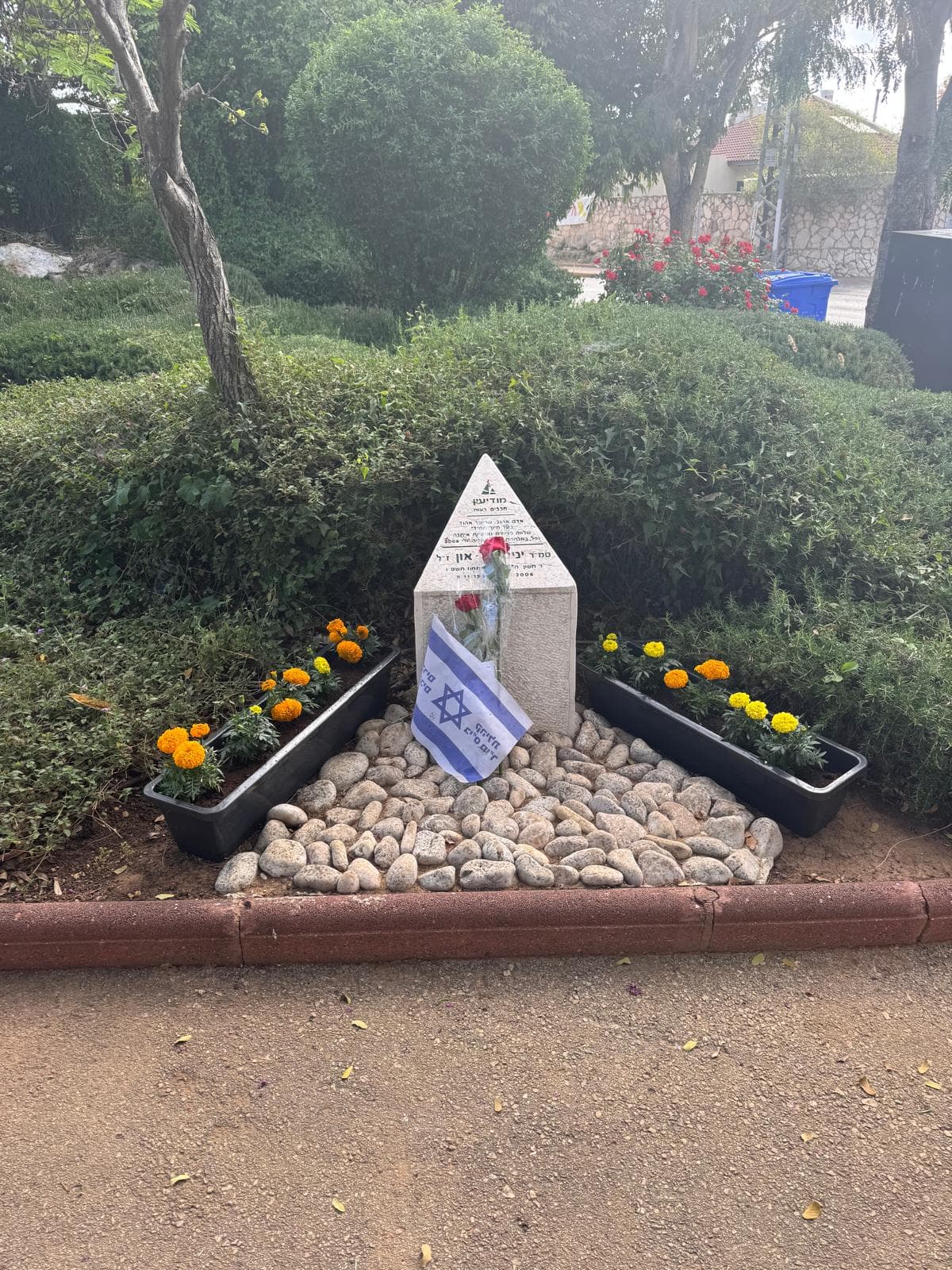 מרגש ונוגע ללב במודיעין: העיר התקשטה בצהוב לקראת יום הזיכרון – הסיבה מאחורי המחווה המיוחדת!