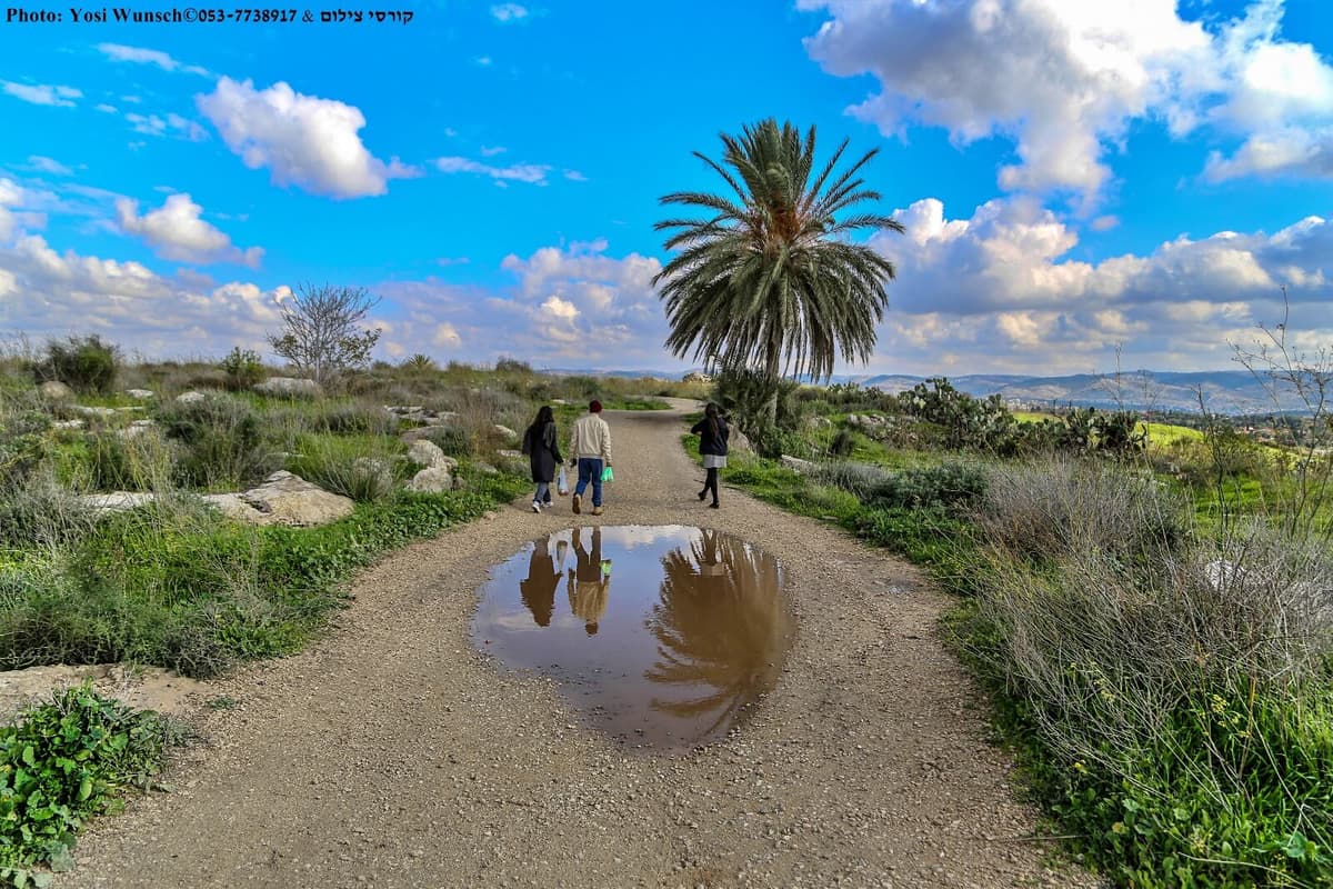 גבעת התיתורה – אתר טבע וארכיאולוגיה בלב מודיעין