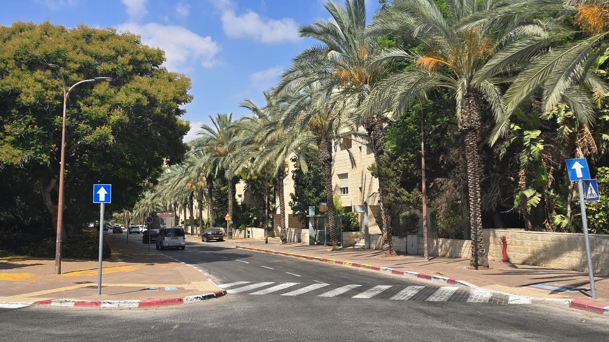 היערכות מיוחדת בעמק החולה: העירייה תבצע גיזום דקלים – דיירים מתבקשים לפנות חניות
