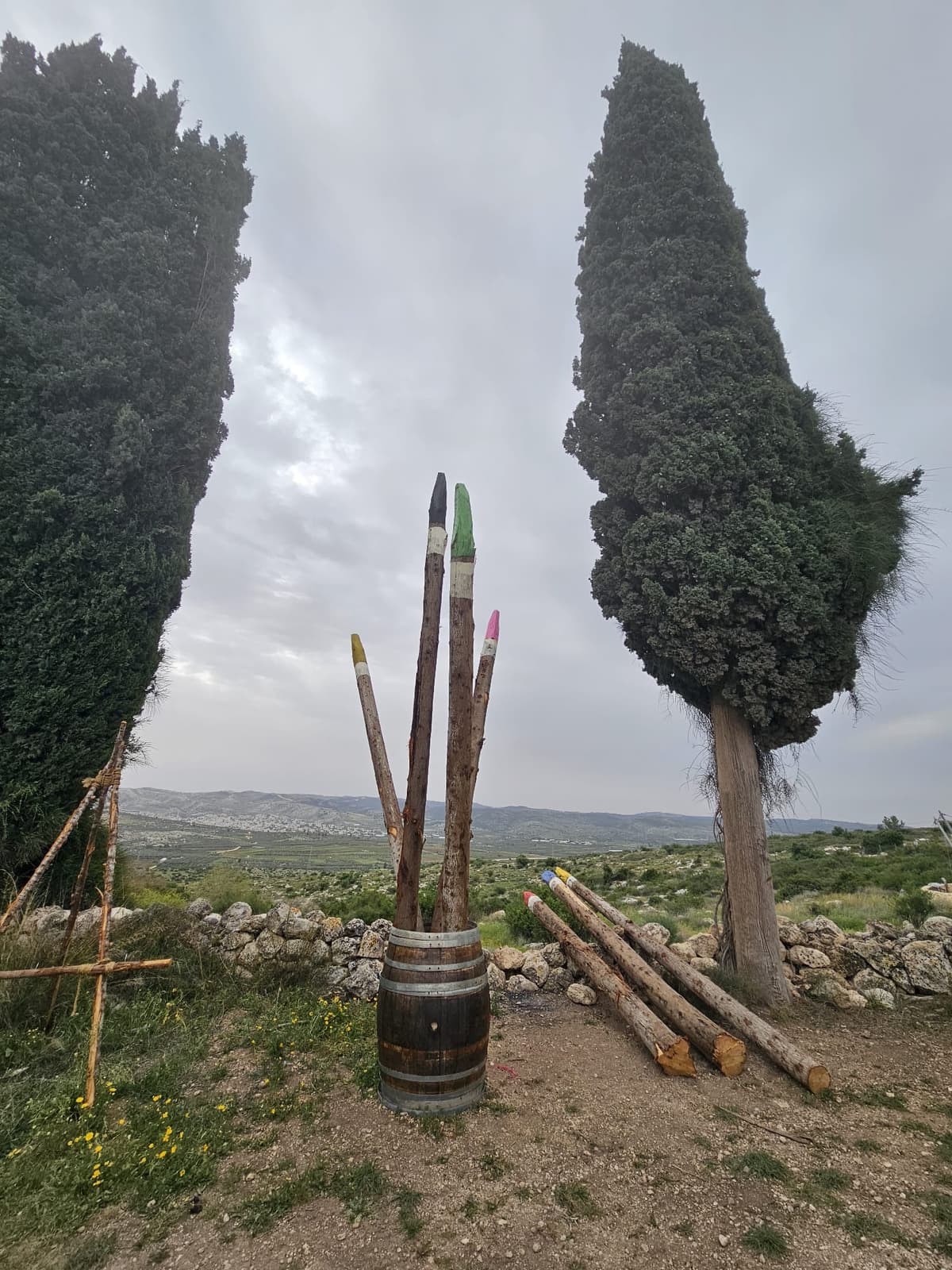 אמנות בין הברושים: חוויה חדשה ומרתקת מחכה לכם בגבעת הברושים