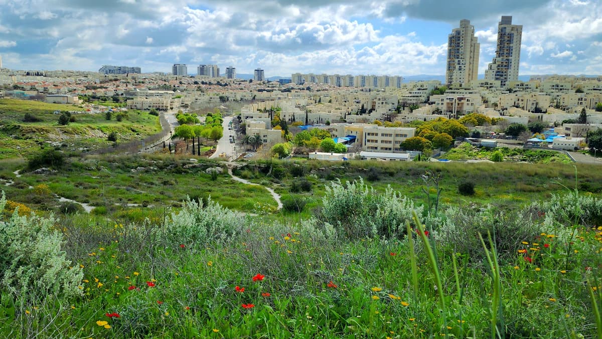 המלחמה בטרור הסביבתי: החרמת משאיות וציוד למבעירי שריפות הפסולת יוצאת לדרך