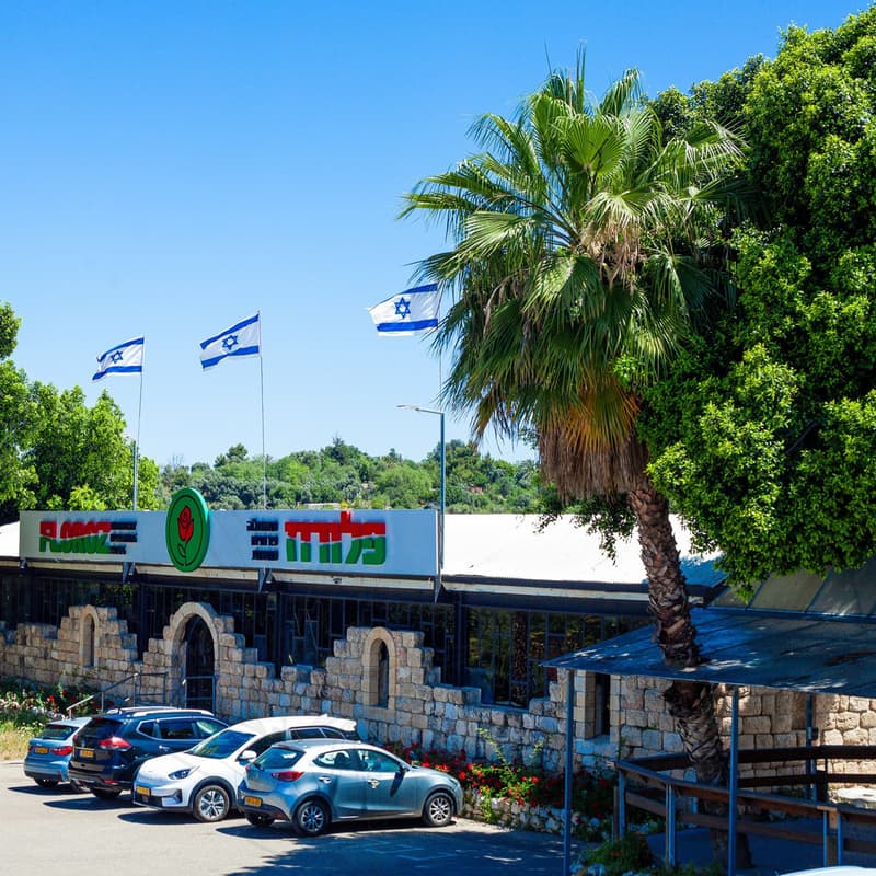 פלורוז