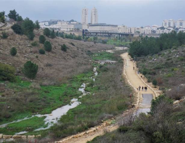 שביל ענבה