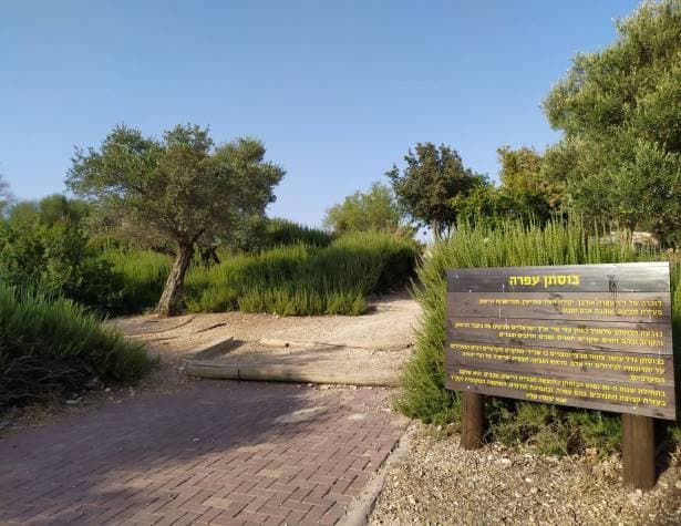 בוסתן עפרה