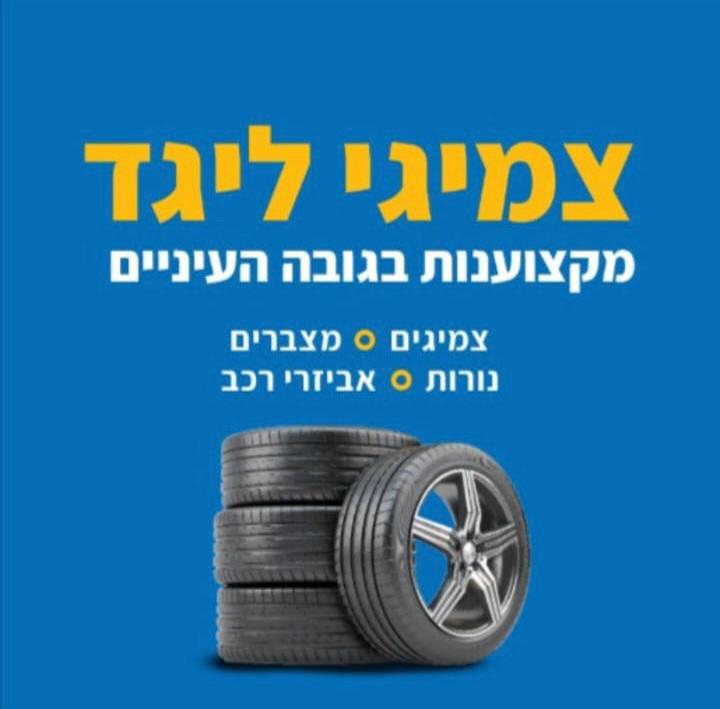 צמיגי ליגד מודיעין