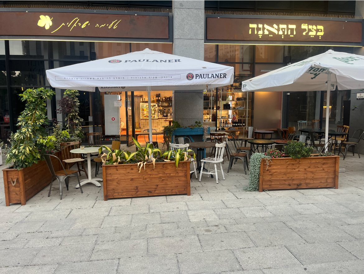 בצל התאנה