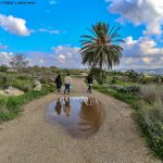 גבעת התיתורה – אתר טבע וארכיאולוגיה בלב מודיעין