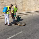 הקיץ הגיע והיתושים חוגגים? לא במודיעין! העירייה יוצאת למבצע מיוחד לייבוש מקורות מים
