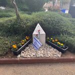 מרגש ונוגע ללב במודיעין: העיר התקשטה בצהוב לקראת יום הזיכרון – הסיבה מאחורי המחווה המיוחדת!