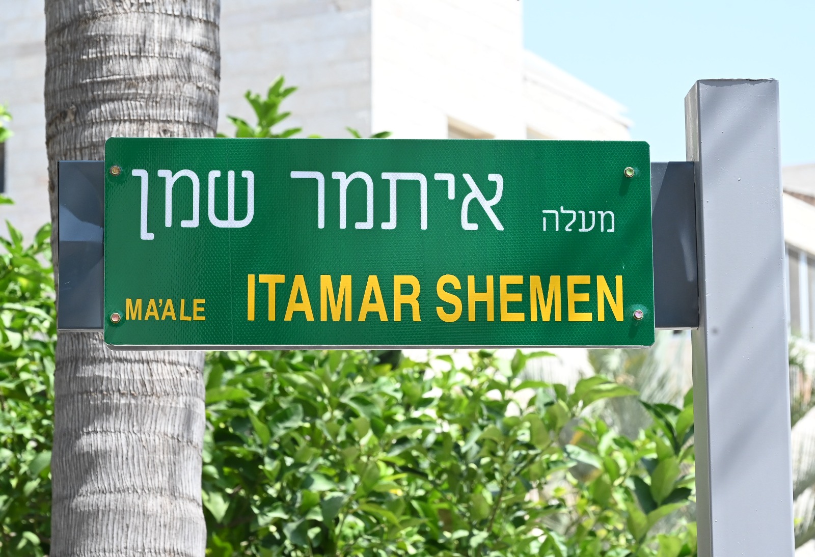 חדשות מודיעין