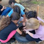 המהפך הירוק החל: עשרות מוסדות חינוך במודיעין משנים את הטבע העירוני