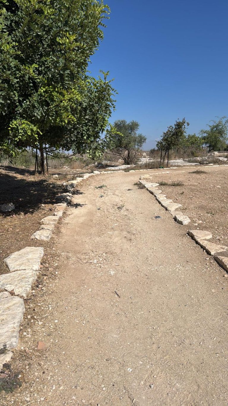 גבעת התיתורה