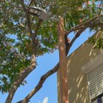 המהפך השקט יוצא לדרך: העירייה מחליפה את התאורה בשכונות