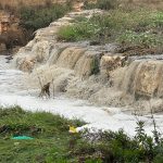 ענבה משתדרגת: תוכנית הפארק המרכזי של מודיעין הופכת למותג ארצי בהשקעת 100 מיליון ש"ח