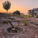 21 שנה למסורת: כנס מורשת החשמונאים השנתי במודיעין חוזר – ומה הקשר ליין ו-AI?