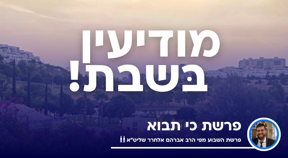 פרשת כי תבוא
